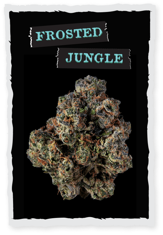 Frosted Jungle