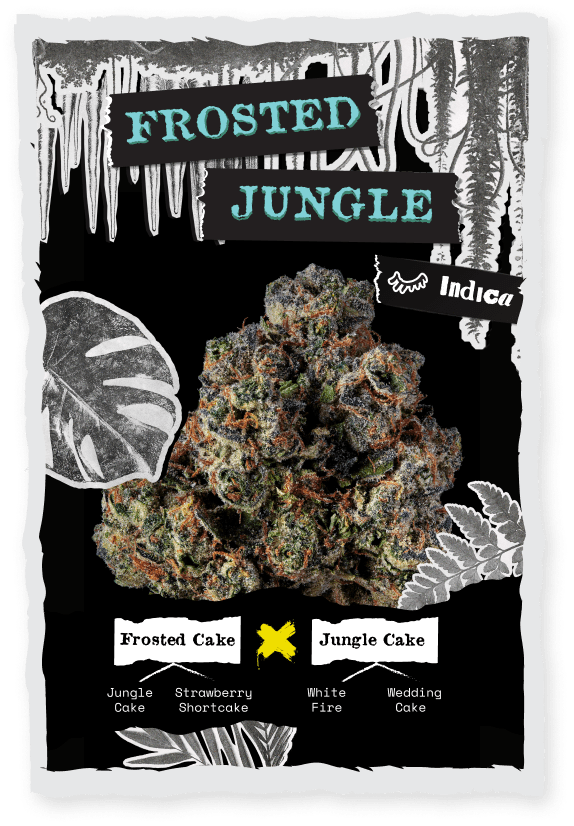 Frosted Jungle